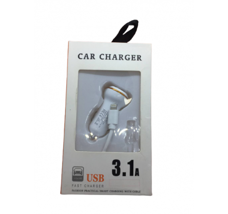DUAL USB CAR CHARGER 3.1 A...
